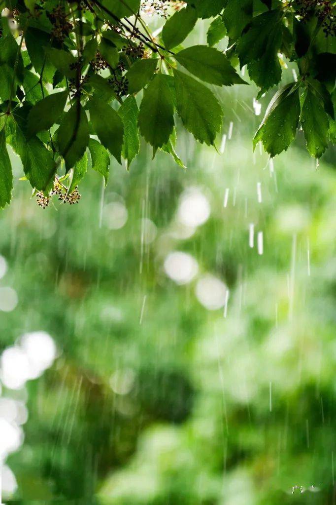 缤纷文苑冯姣珍这一季的雨淋湿了我的心情