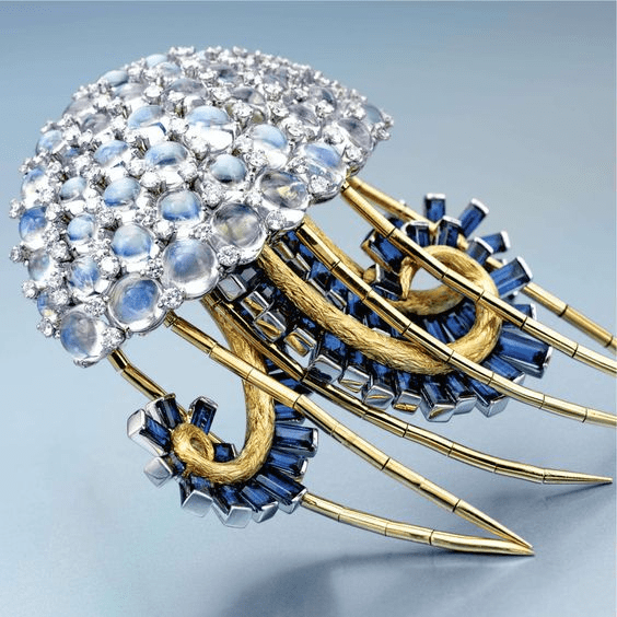 晕彩|2020年上半年最后一天,我想看看它