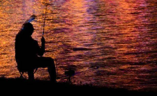 时候|有饵料就能钓好鱼，错！还得准备好这些夏季夜钓