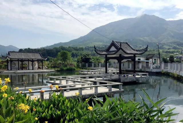 赏荷花,游"神韵龙池""龟山挺秀"两景点的乡村旅游格局来源:明溪县融