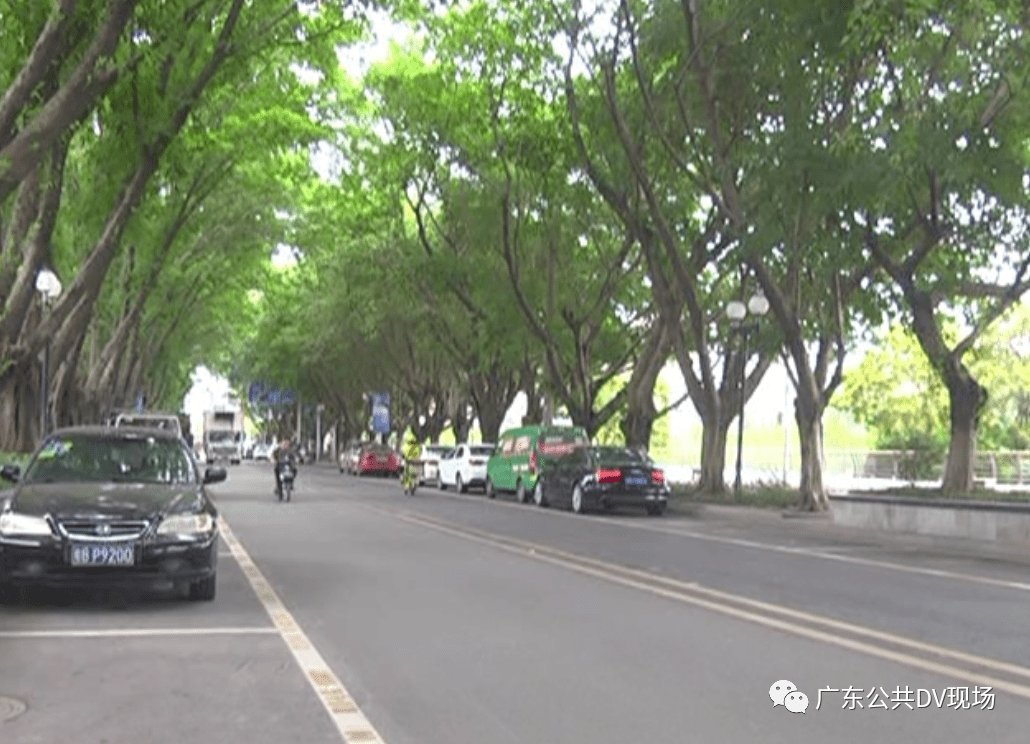 一氧化碳|夏季高发！半小时就出事！女子路边停车后睡了一觉，再没醒来......