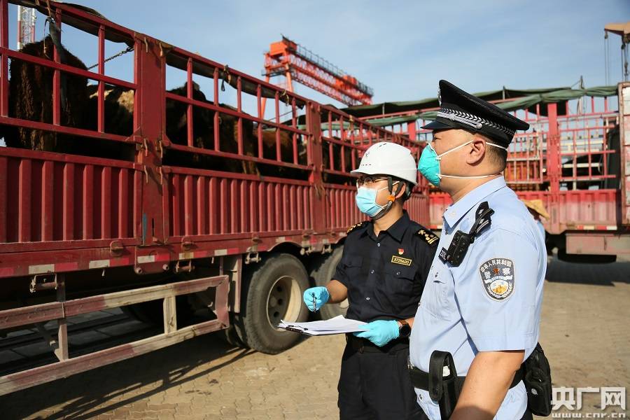 厦门边检,海关等口岸联建单位在联合执勤(央广网发 祝婕女摄)