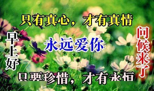 早上好问候美图,早安问候语句.