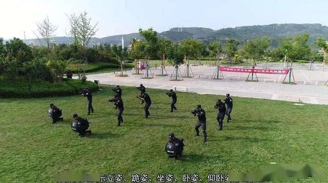 彬州公安特警开展战术队形及手语训练 以练为战砺炼精兵_手机搜狐网