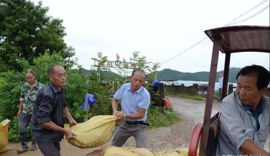 枞阳县麒麟镇梅花村菜子湖水位上升导致团结圩汛情告急,当地党员干部