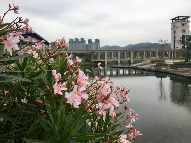 答辩|后疫情期的澳门大学，空荡荡的校园里，我终于完成了学位答辩