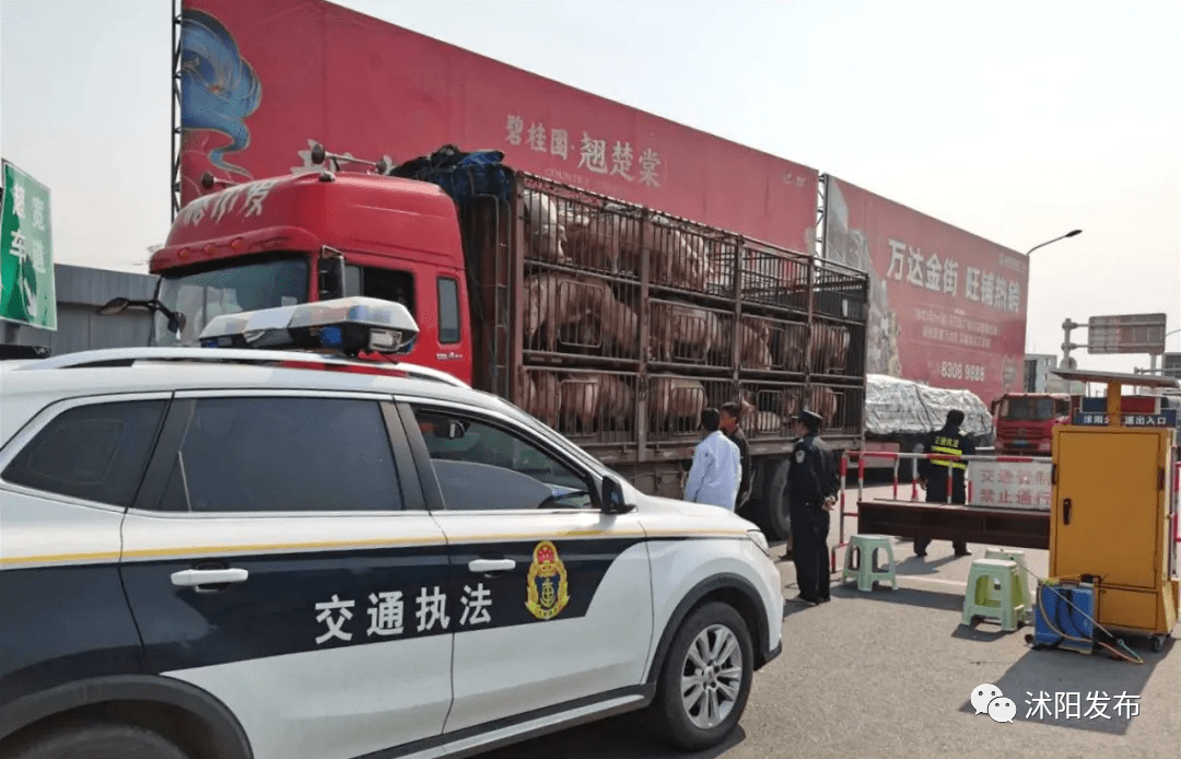 沭阳县2020年上半年g_沭阳县2020年规划图