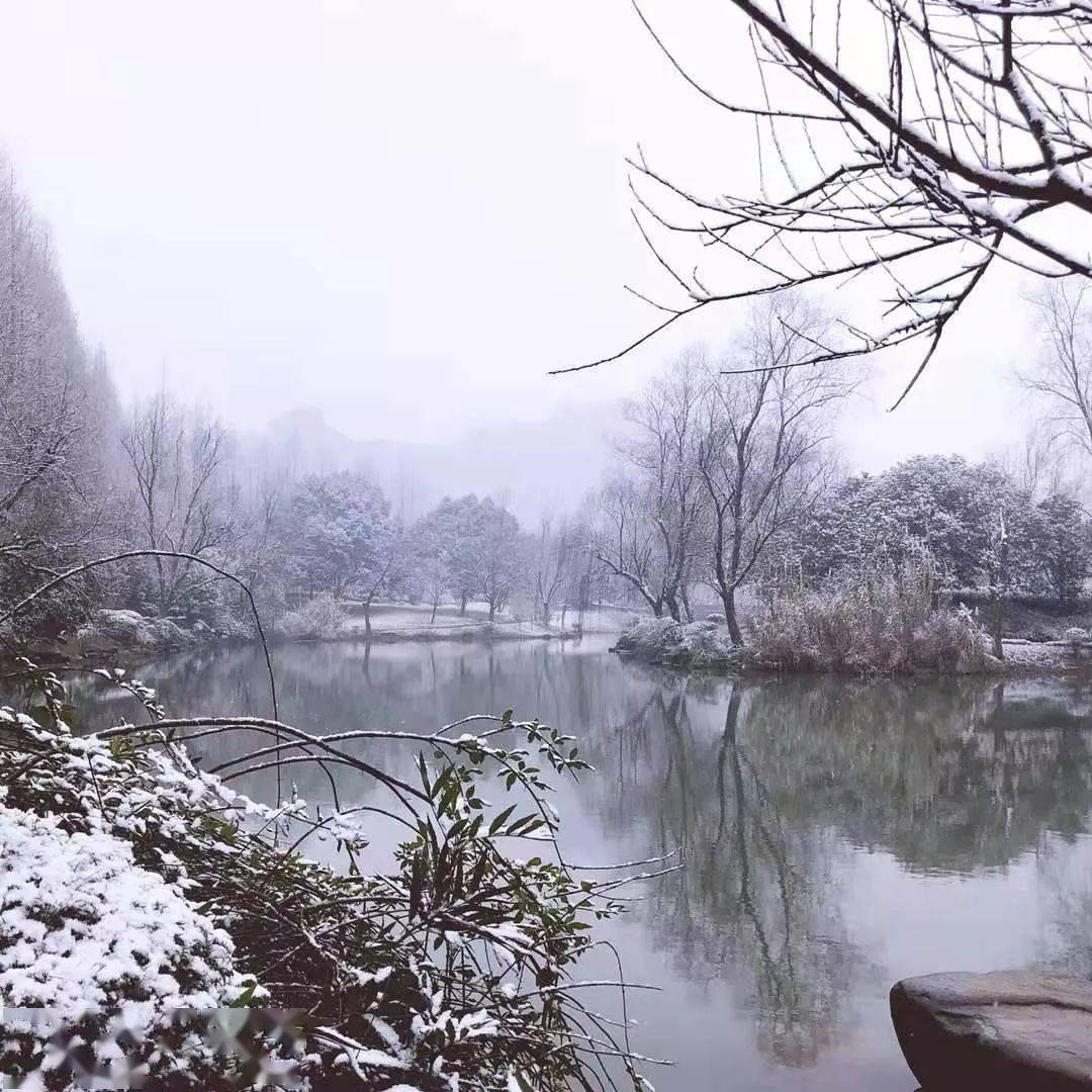 古诗词名句: 春夏秋冬,山水日月,风花雨雪