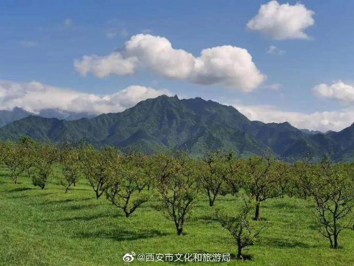 终南|在终南山下，寻找唐诗里最中国的乡村生活