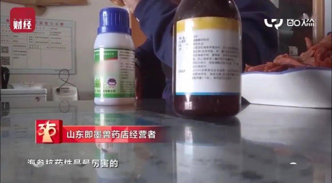 海参|汉堡王、万科、宝骏、趣头条等被央视“3·15”点名！多家企业排队致歉