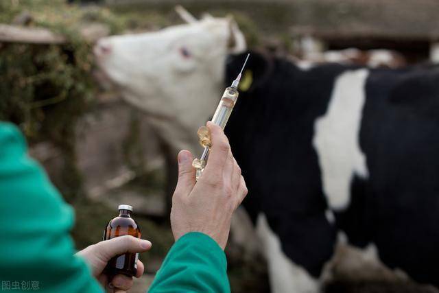 肌肉注射的部位有颈侧和臀部.