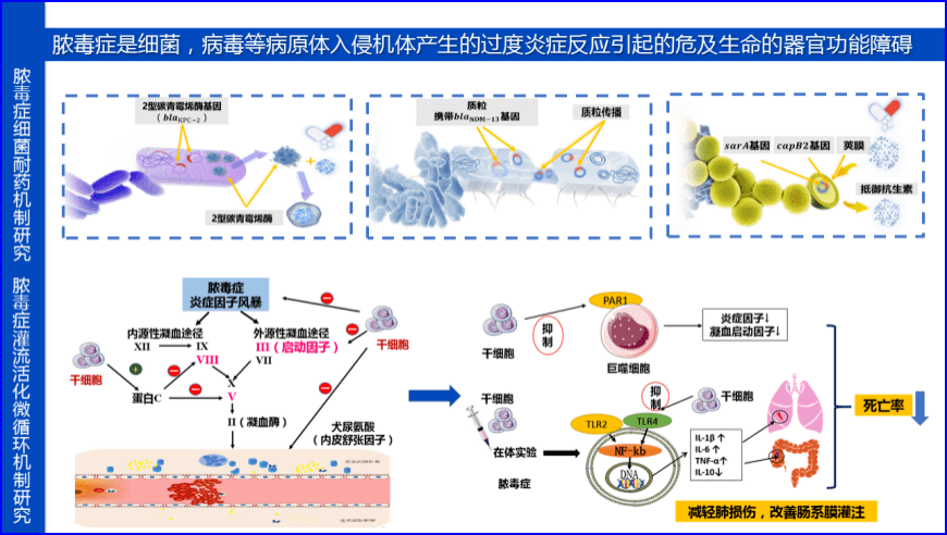 脓毒症的细菌耐药检测和干细胞诊治的理论创新与新技术研发