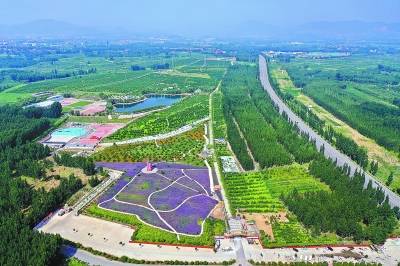 河北省迁安市亚滦湾农业公园(7月14日摄,无人机照片).
