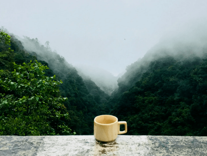 空杯心态