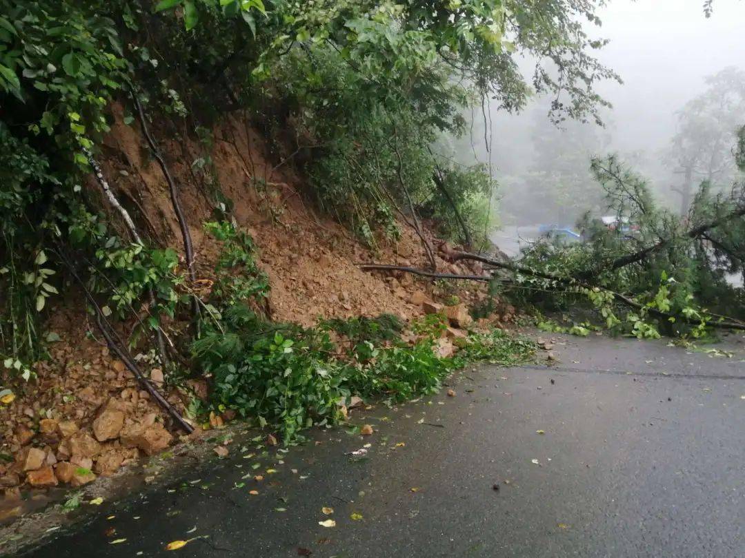 一线|雨天路滑 山路行驶"安全锦囊"请接收