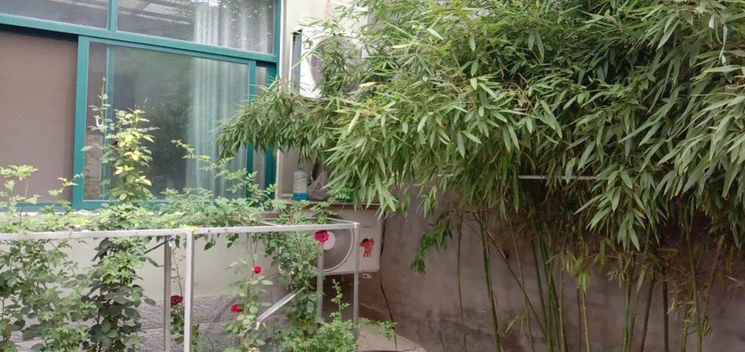 辛店镇人口多少_禹城市辛店镇的一角