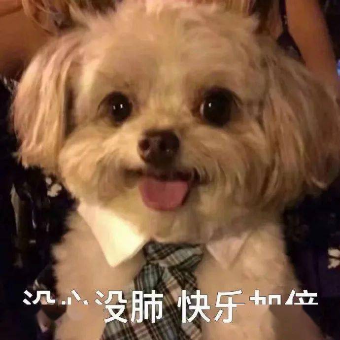 什么样是舔狗 b3f788f3c7f443d79ceeb1b5ca0ca665.jpeg