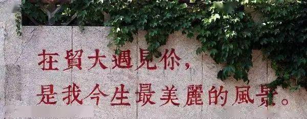 对外经济贸易大学