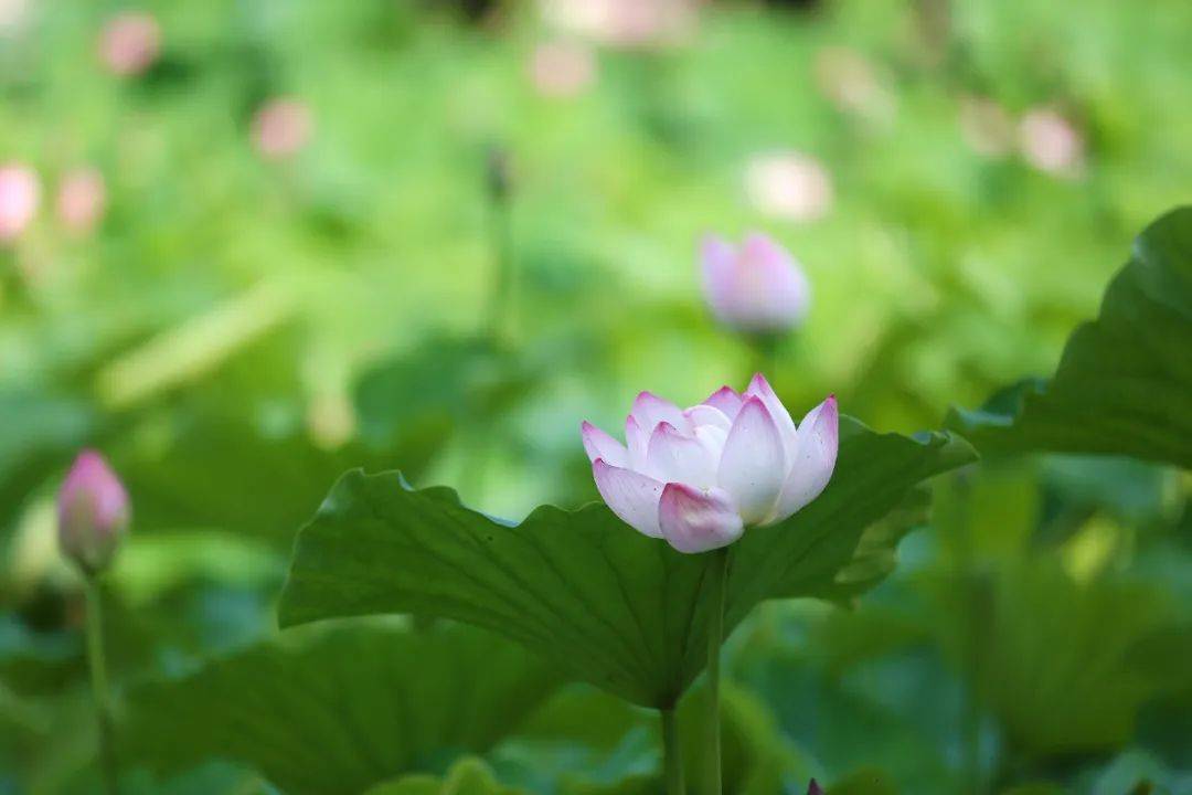 山东|招生季 | 山东管理学院“拍了拍”你　招生简章了解一下