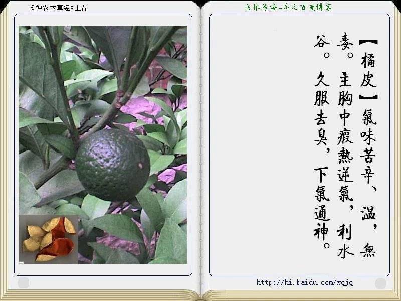 中药吃法大全详解 acd610143b2f4167923f4d016e9f4a6f.jpeg