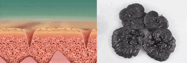 肌肤|40岁的逆袭 聪明的女人保鲜用这招