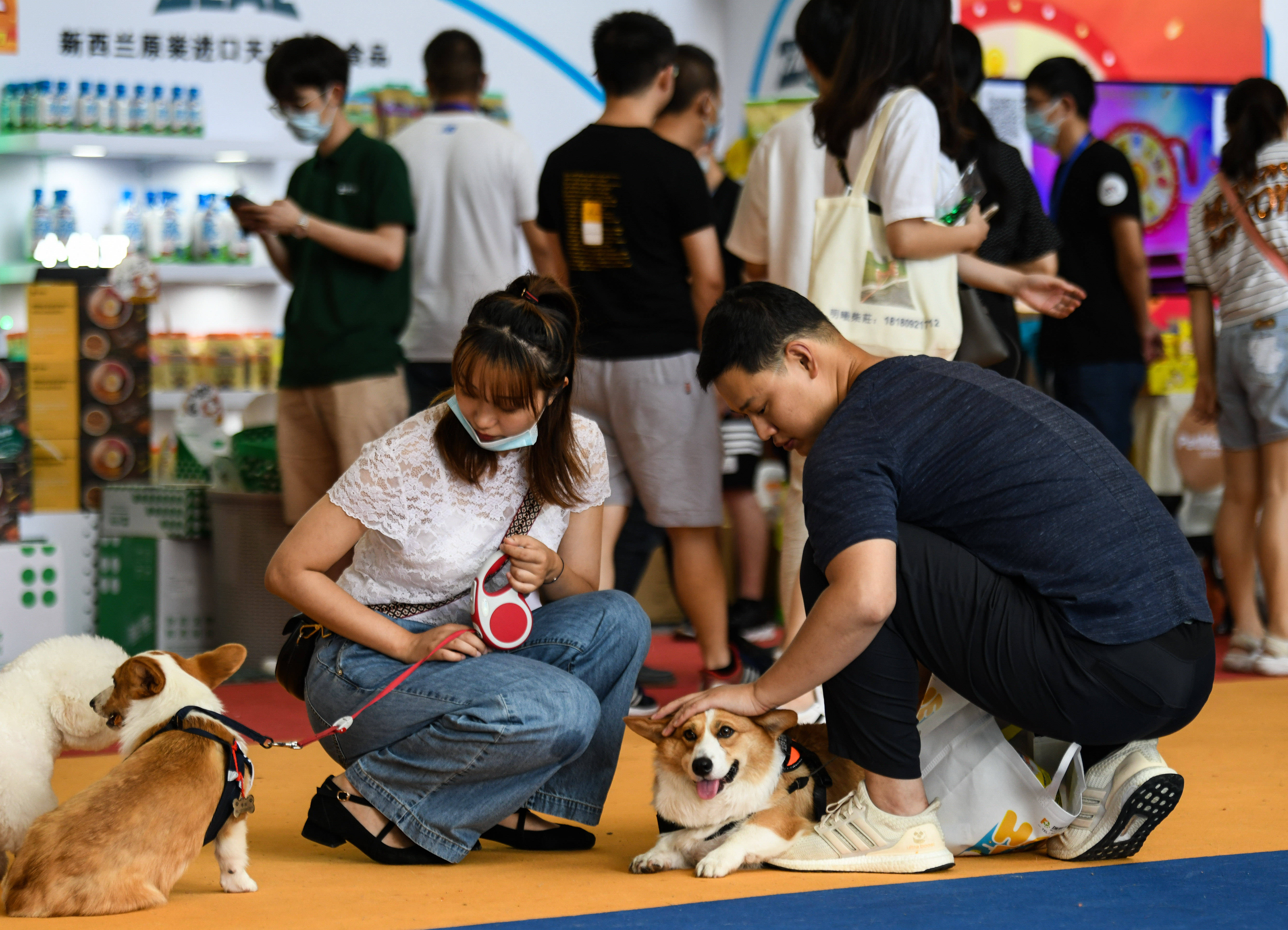 7月19日,在成都世纪城新国际会展中心,消费者和宠物狗玩耍.