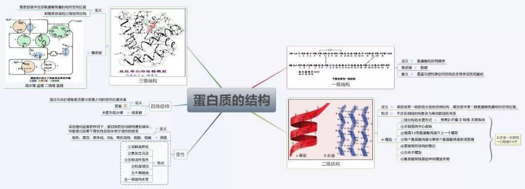 医学生必备:生物化学思维导图