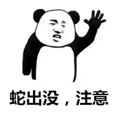 何火宝|又有蛇出没！厦门一10岁男孩独自在家，桌下钻出一条蛇！