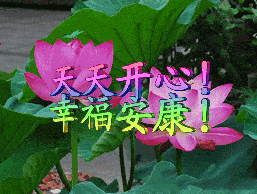 早上好,盛夏来临,新的一周送你清凉祝福,愿快乐一夏