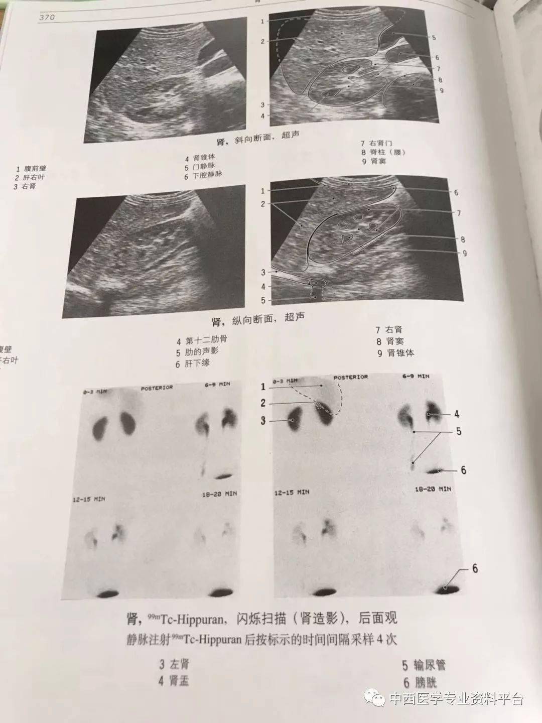 《影像解剖学》