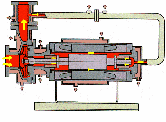 这么多常见泵的工作原理动图,也不知道你们喜欢不?