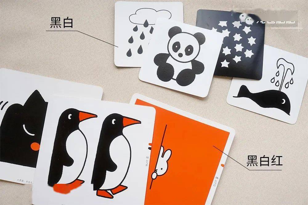 宝宝|黑白卡真能激发视觉？怎么买怎么用才能有效不掉坑？