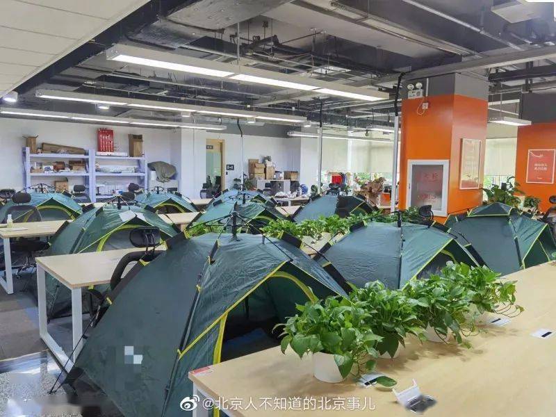 北京一互联网公司工位旁支帐篷,“996”变“007”?