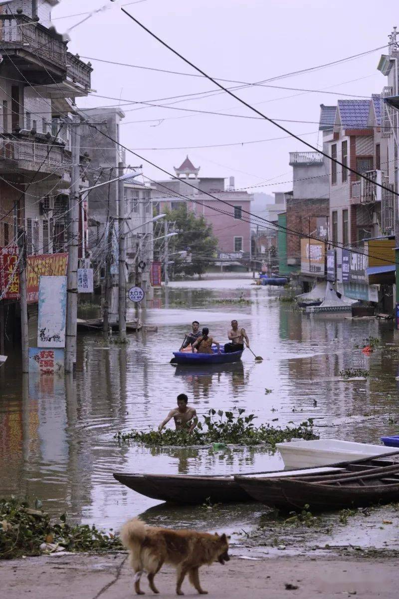 村民|新房泡在水中，一家三口留住二楼，出入靠划船