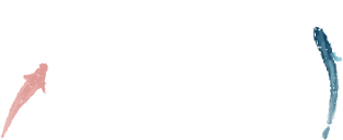 云端|来一场云端的狂欢