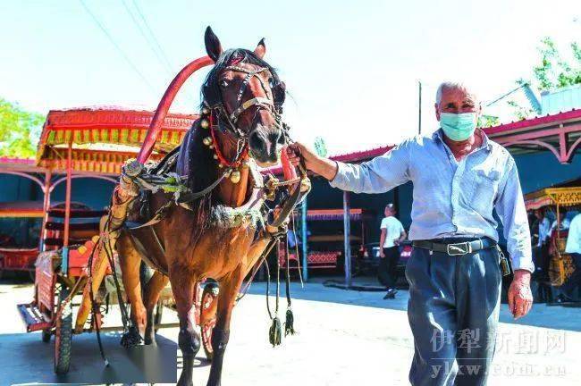 图为喀赞其民俗旅游区准备出发的马车.