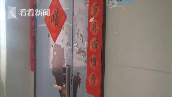 邻居|家中养几十只猫又臭又吵被投诉 业主：邻居太敏感