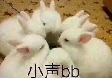 杜海涛|现在的明星是没脑子吗？？？