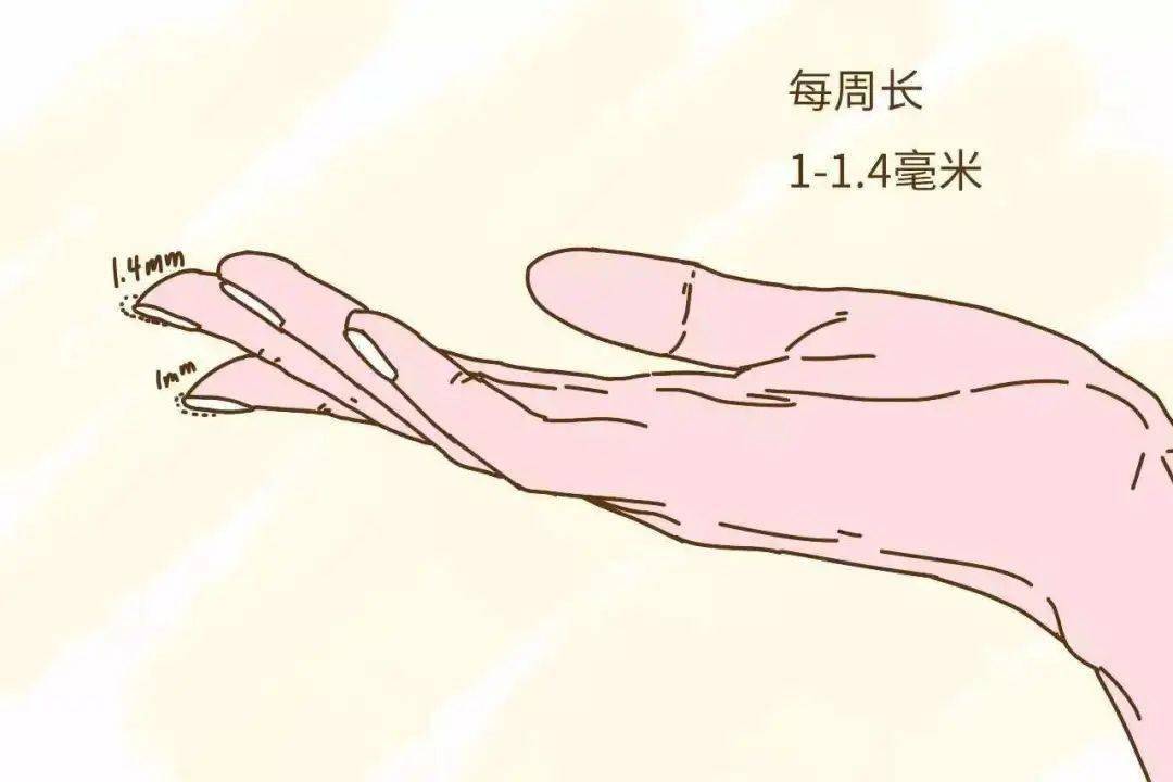 8b1263f64acd46e89287d7ef5a5ca650.jpeg