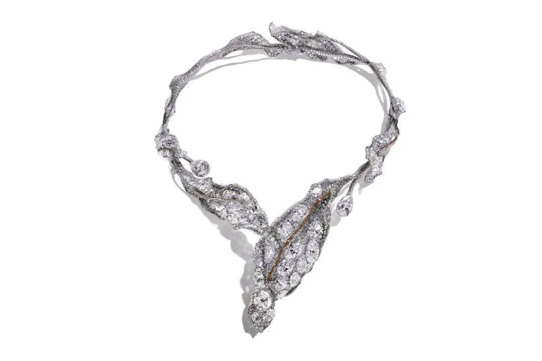 Carpet|钛金珠宝正当宠