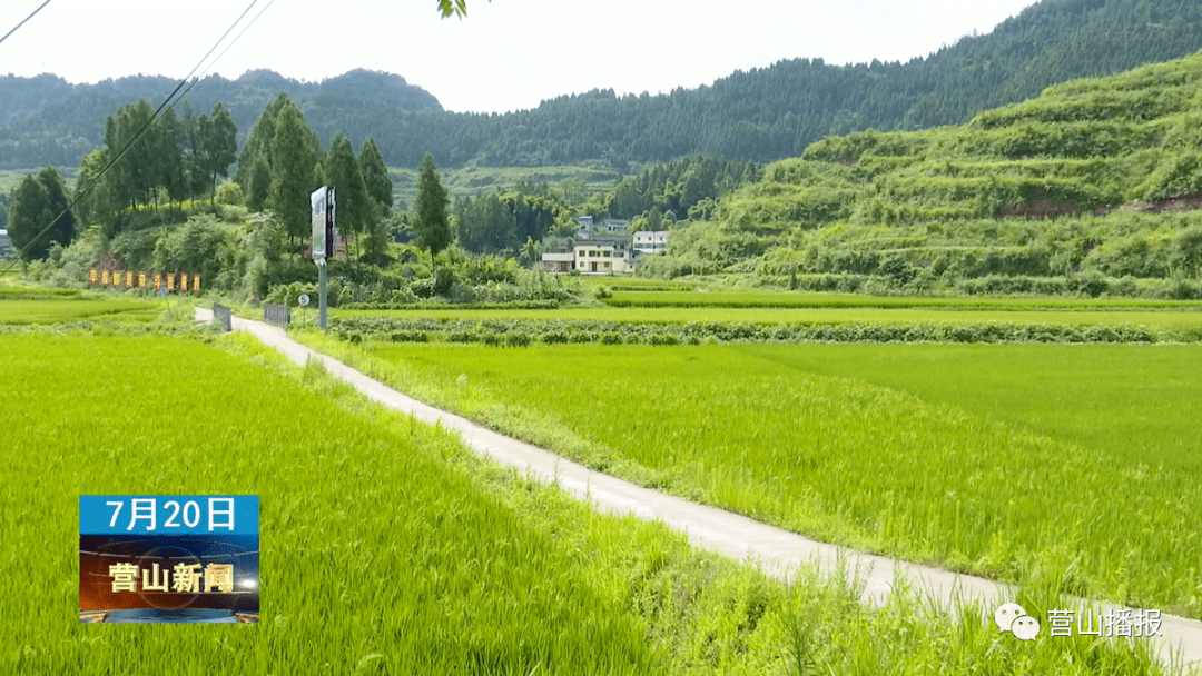 营山县有多少人口_营山县地图