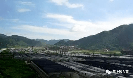 自驾游旅行视频最红 ca3d706726d04535b0a8ef37dda7efe7.png