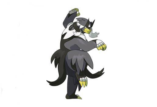 《宝可梦》图鉴892:把多击制胜作为信条——武道熊师