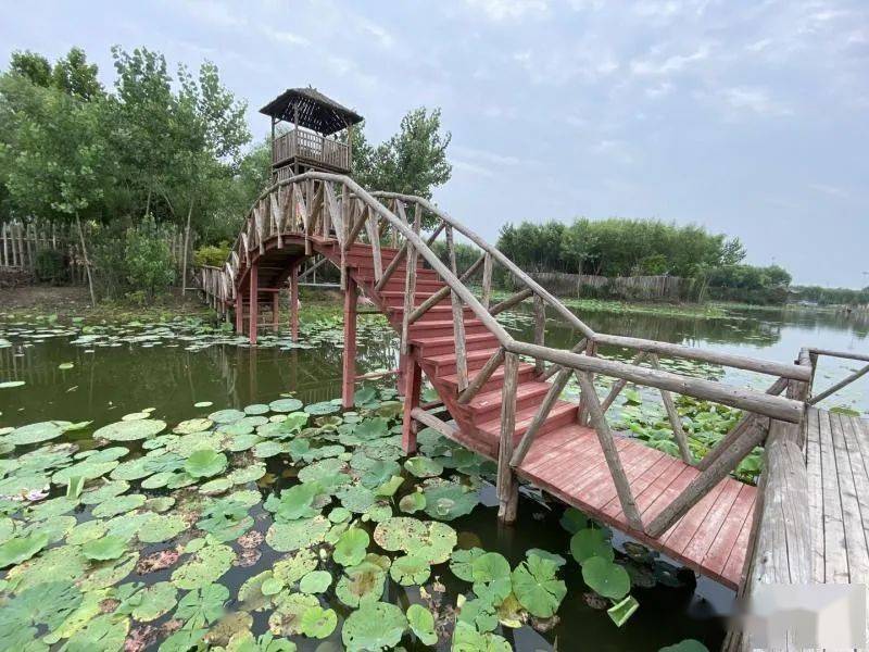 【通票】水乐园荷香湖畔通票,宝坻人只要16.