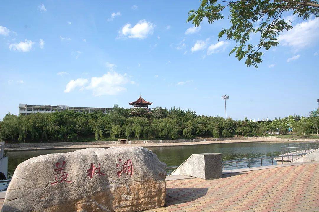 聊城|招生季丨聊城大学“拍了拍”你招生简章了解一下