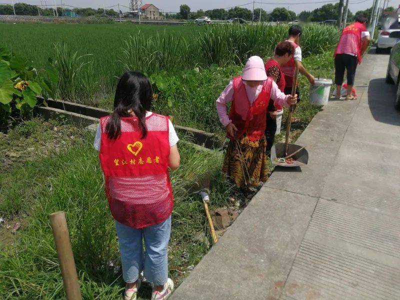 高桥镇芦港村人口_新宁县高桥镇长坪村(2)