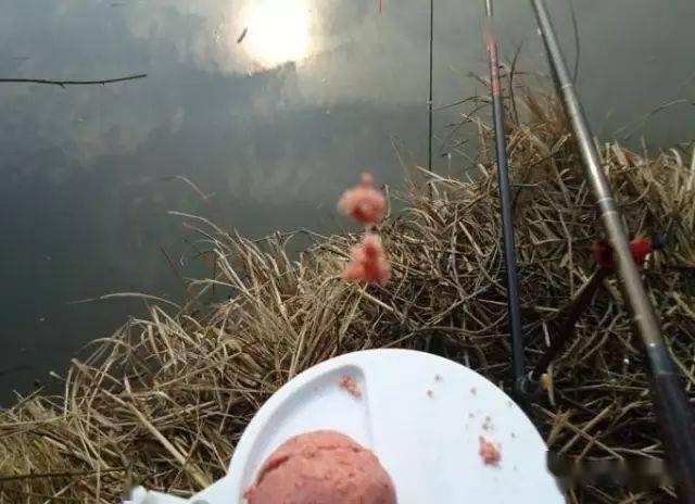 大暑钓鱼,用这6个方法,让你轻轻松松找到鱼窝