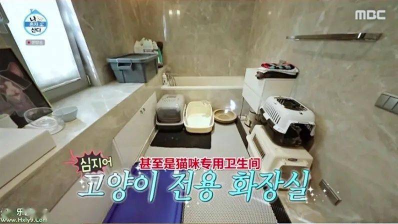 中韩|顶流男神58亿独居豪宅大曝光，中韩网友全傻眼：猫也有独卫？！