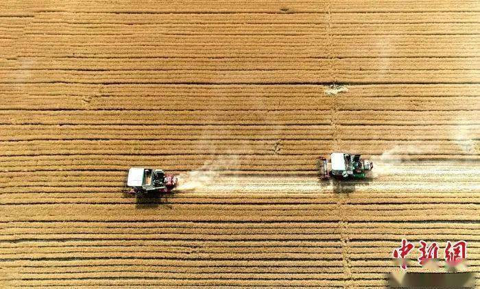 2020运程gdp_牛华运程2020