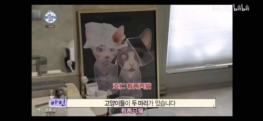 中韩|顶流男神58亿独居豪宅大曝光，中韩网友全傻眼：猫也有独卫？！